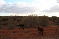 Click for large version