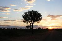 Click for large version