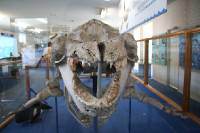 Click for large version