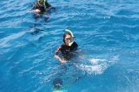 Click for large version