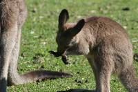 Click for large version