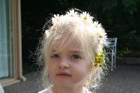 Click for large version