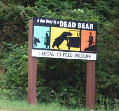 Click for large version