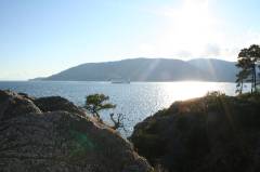 Click for large version